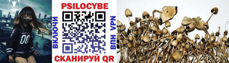 Галлюциногенные грибы мицелий  Армянск 