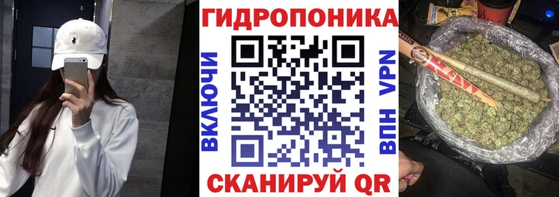 Конопля планчик Армянск
